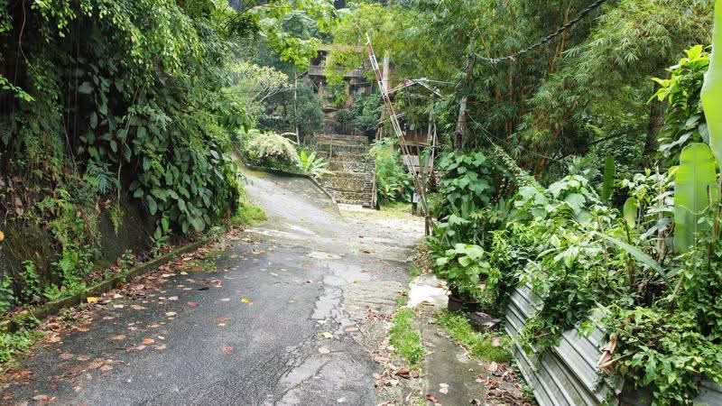 Tanah Pertanian untuk Dijual di Kampung Bukit Lanjan (Sungai Penchala) - NIK AZWAN - Exterior - PropertyGuru.com.my
