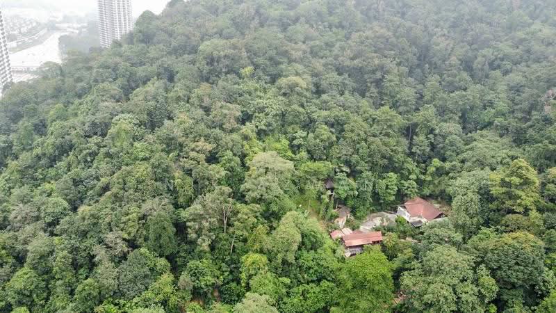 Tanah Pertanian untuk Dijual di Kampung Bukit Lanjan (Sungai Penchala) - NIK AZWAN - Exterior - PropertyGuru.com.my