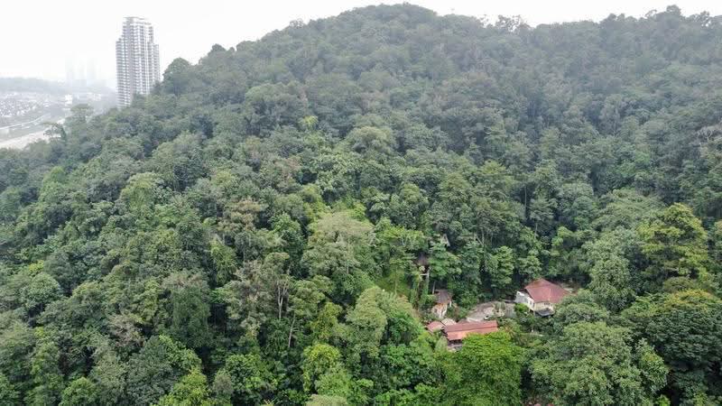 Tanah Pertanian untuk Dijual di Kampung Bukit Lanjan (Sungai Penchala) - NIK AZWAN - Exterior - PropertyGuru.com.my