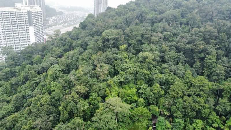Tanah Pertanian untuk Dijual di Kampung Bukit Lanjan (Sungai Penchala) - NIK AZWAN - Exterior - PropertyGuru.com.my