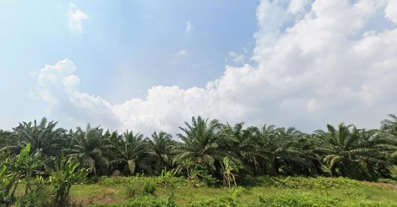Industrial Land for Sale in Jenjarom (Selangor) - Chris Lee - Exterior - PropertyGuru.com.my