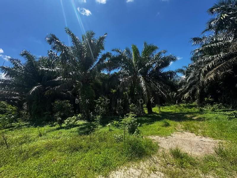Industrial Land for Sale in Sri Plentong (Plentong) - BK Cheok - Exterior - PropertyGuru.com.my