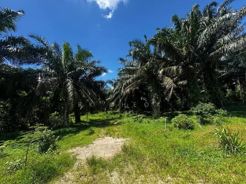 Industrial Land for Sale in Sri Plentong (Plentong) - BK Cheok - Exterior - PropertyGuru.com.my