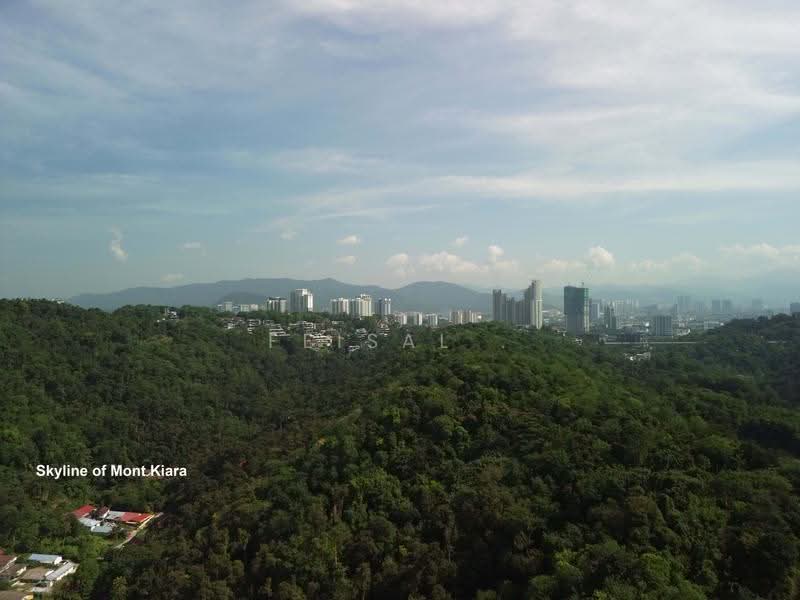 Tanah Pertanian untuk Dijual di Kampung Sungai Penchala (Sungai Penchala) - Feisal . - View - PropertyGuru.com.my