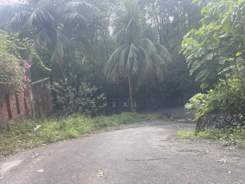 Tanah Pertanian untuk Dijual di Kampung Sungai Penchala (Sungai Penchala) - Feisal . - Exterior - PropertyGuru.com.my