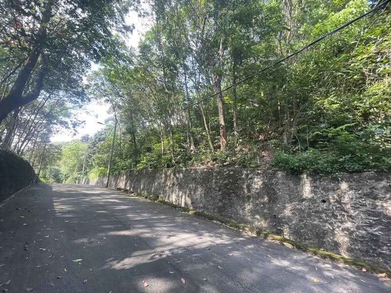 Tanah Pertanian untuk Dijual di Kampung Sungai Penchala (Sungai Penchala) - Feisal . - Exterior - PropertyGuru.com.my