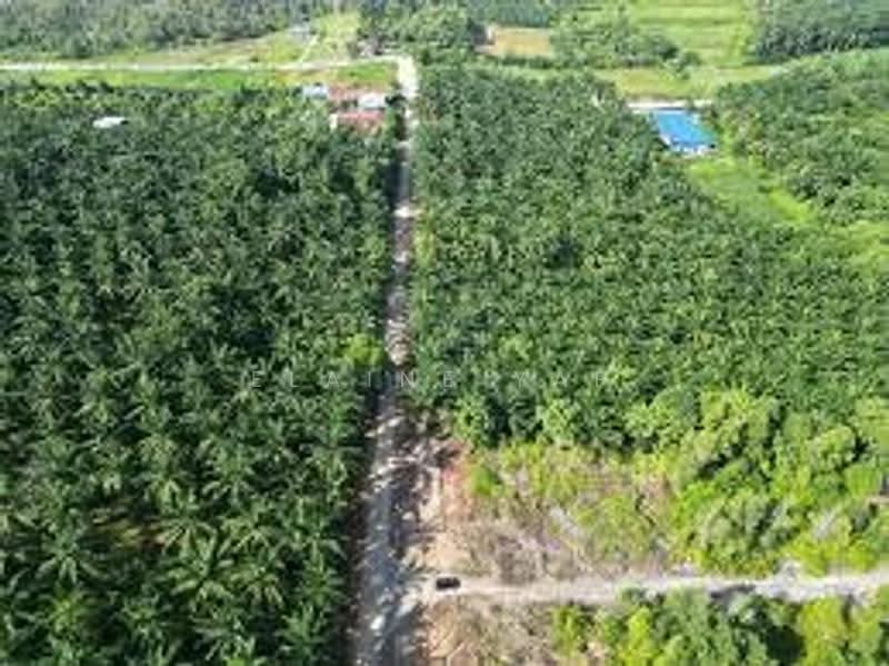 Agricultural Land for Sale in Kampung Ampar Tenang (Dengkil) - Elaine Yap - Exterior - PropertyGuru.com.my