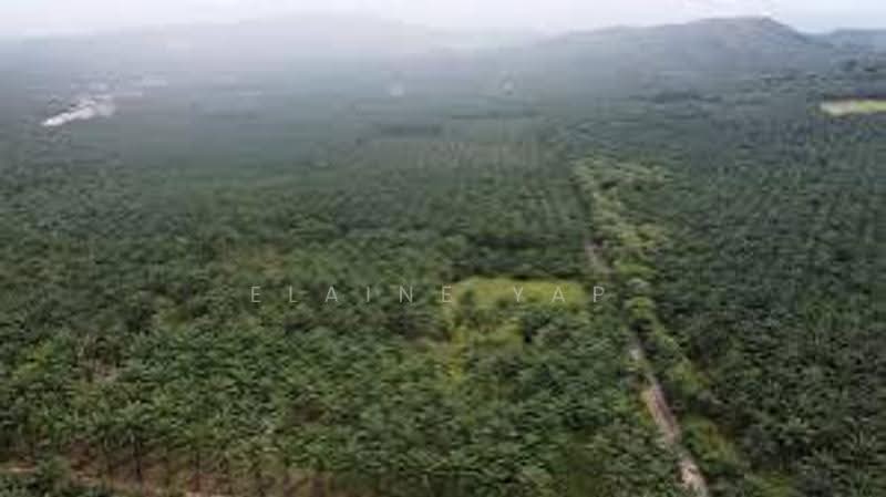 Agricultural Land for Sale in Kampung Ampar Tenang (Dengkil) - Elaine Yap - Exterior - PropertyGuru.com.my