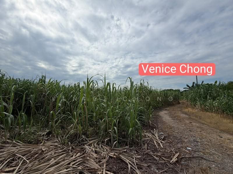 Tanah Perindustrian untuk Dijual di Simpang Ampat (Penang) - Venice Chong - PropertyGuru.com.my
