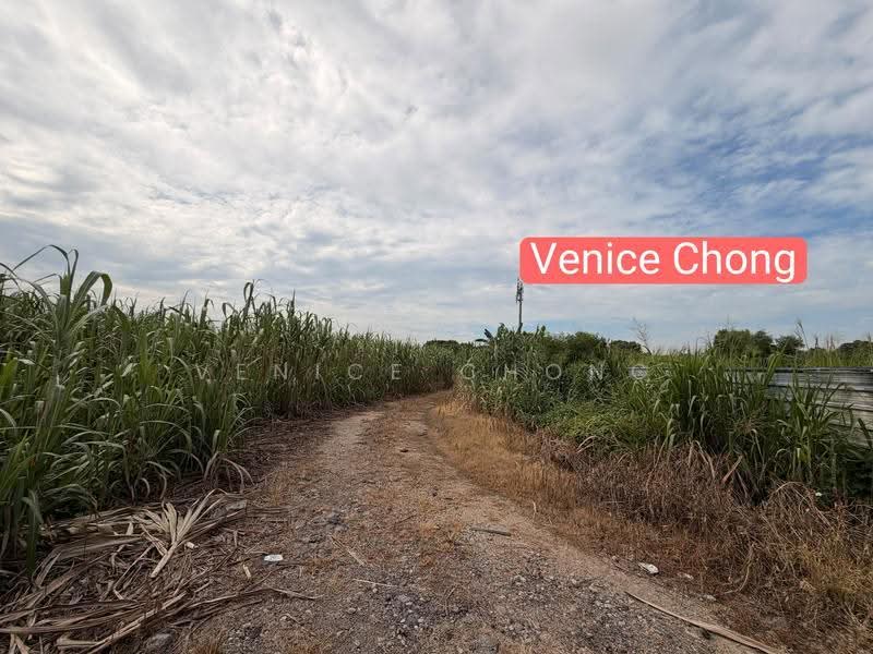 Tanah Perindustrian untuk Dijual di Simpang Ampat (Penang) - Venice Chong - PropertyGuru.com.my