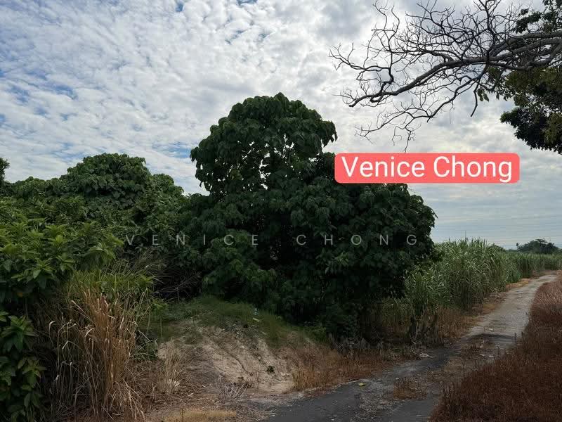 Tanah Perindustrian untuk Dijual di Simpang Ampat (Penang) - Venice Chong - PropertyGuru.com.my