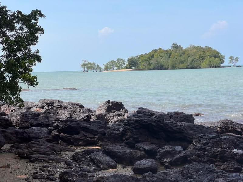 Residential Land for Sale in Kampung Pasir Panjang (Pasir Panjang) - Caiyi Choo - Exterior - PropertyGuru.com.my