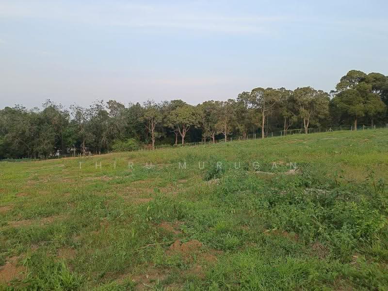 Tanah Pertanian untuk Dijual di Rantau (Negeri Sembilan) - Thiru Murugan - Garden - PropertyGuru.com.my