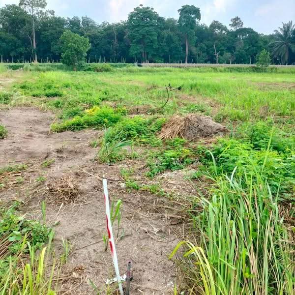 Residential Land for Sale in Kuantan (Pahang) - Fazielawatie Ishak - Exterior - PropertyGuru.com.my