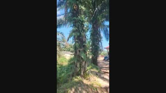 Agricultural Land for Sale in Bandar Baru Kundang (Rawang) - Kim Sin Bong - PropertyGuru.com.my
