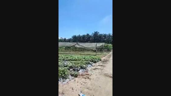 Agricultural Land for Sale in Bandar Baru Kundang (Rawang) - Kim Sin Bong - PropertyGuru.com.my