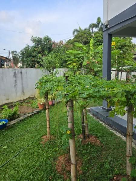 Semi-Detached House for Sale in SS14 (Subang Jaya) - Celia Tan - Garden - PropertyGuru.com.my