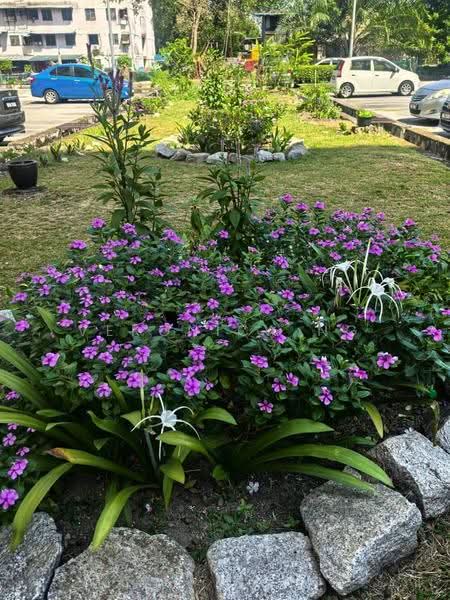 Kondominium untuk Dijual di Pandan Mewah Heights - Veronica Ng - PropertyGuru.com.my
