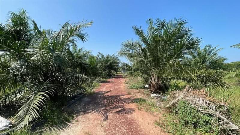 Tanah Pertanian untuk Dijual di Bakri (Johor) - Fion Lim - Exterior - PropertyGuru.com.my