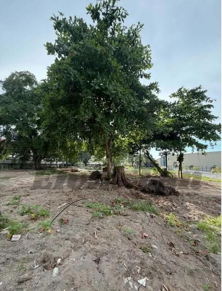 Residential Land for Sale in Butterworth (Penang) - Elvin Tan - Exterior - PropertyGuru.com.my