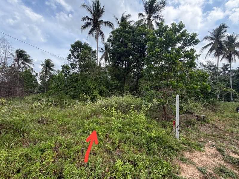 Tanah Kediaman untuk Dijual di Kampung Bukit Palas (Sungai Karang) - Muhammad Najmi - Exterior - PropertyGuru.com.my