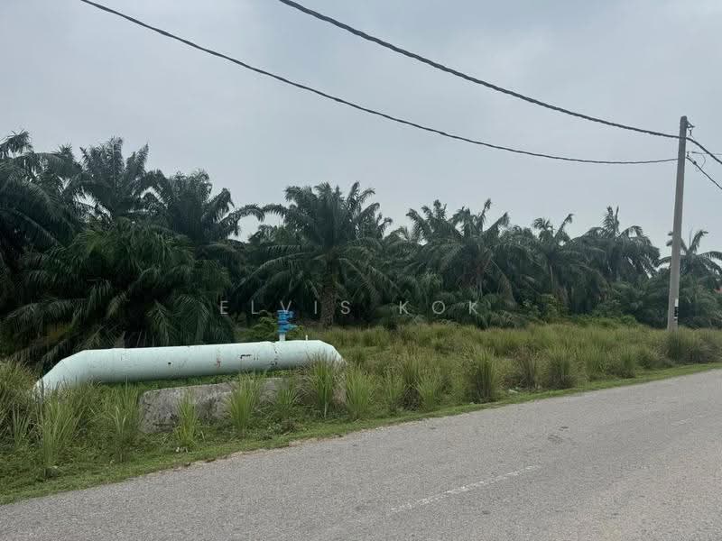 Agricultural Land for Sale in Bukit Rotan (Kuala Selangor) - Elvis Kok - Exterior - PropertyGuru.com.my