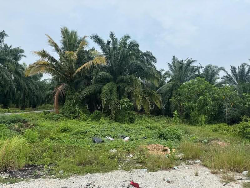 Agricultural Land for Sale in Bukit Rotan (Kuala Selangor) - Elvis Kok - Exterior - PropertyGuru.com.my