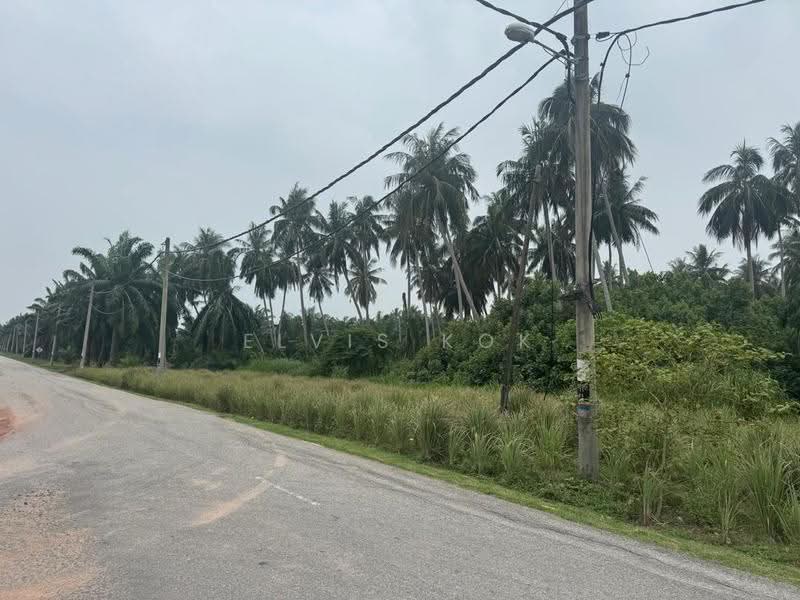 Agricultural Land for Sale in Bukit Rotan (Kuala Selangor) - Elvis Kok - Exterior - PropertyGuru.com.my