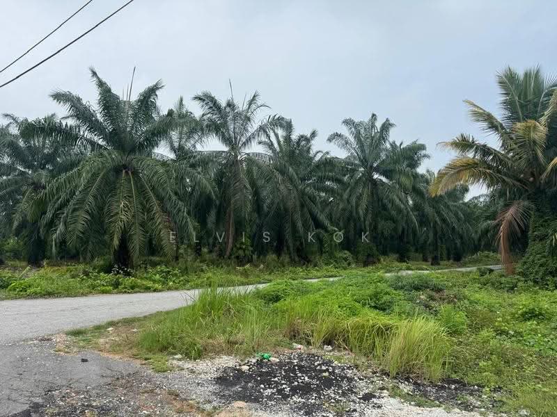 Agricultural Land for Sale in Bukit Rotan (Kuala Selangor) - Elvis Kok - Exterior - PropertyGuru.com.my
