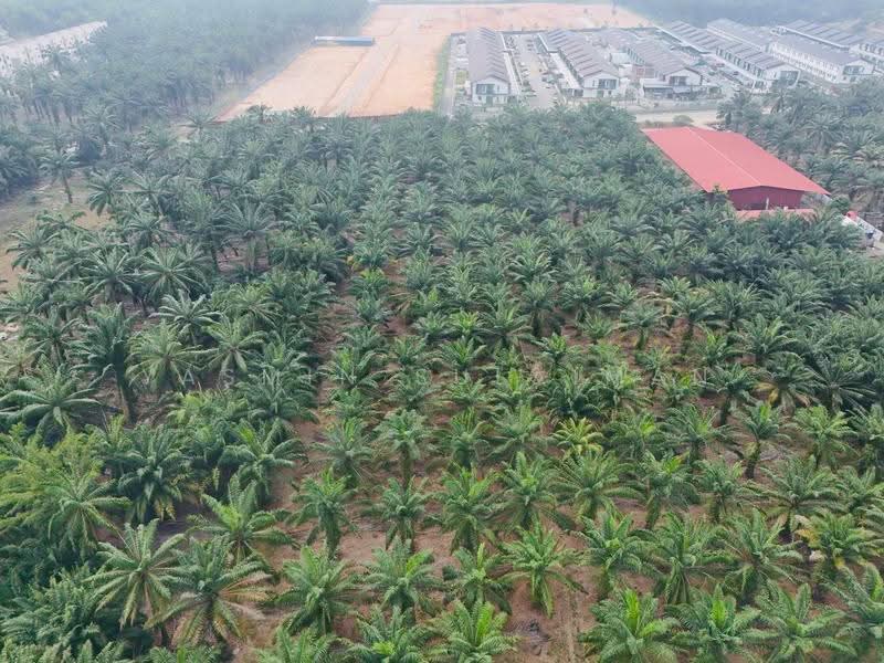 Agricultural Land for Sale in Sepang (Selangor) - Yasmin Sulaiman - Exterior - PropertyGuru.com.my