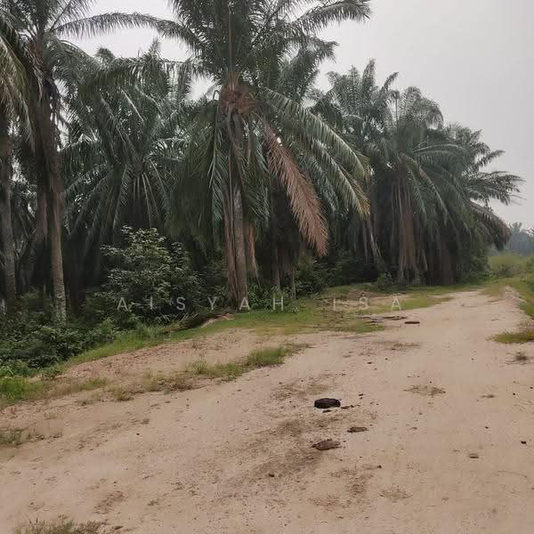 Tanah Pertanian untuk Dijual di Linggi (Negeri Sembilan) - Aisyah Isa - Exterior - PropertyGuru.com.my