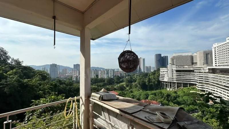 View