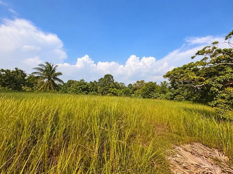 Residential Land for Sale in Taman Nusa Perintis 2 (Iskandar Puteri (Nusajaya)) - SK GOO - Exterior - PropertyGuru.com.my