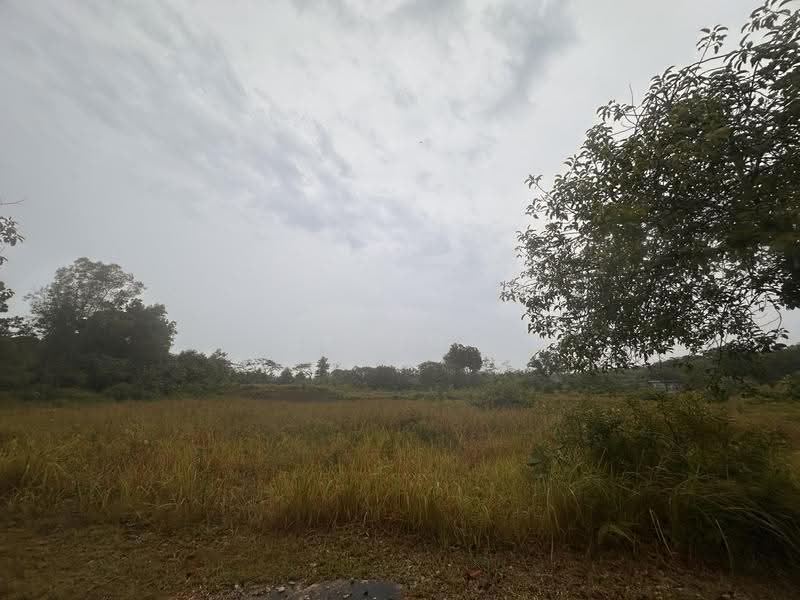 Residential Land for Sale in Taman Nusa Perintis 2 (Iskandar Puteri (Nusajaya)) - SK GOO - Exterior - PropertyGuru.com.my