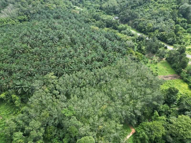Agricultural Land for Sale in Kampung Gulau (Sok) - Derrick Ng - Exterior - PropertyGuru.com.my