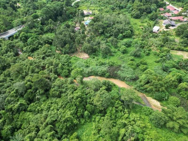 Agricultural Land for Sale in Kampung Gulau (Sok) - Derrick Ng - Exterior - PropertyGuru.com.my