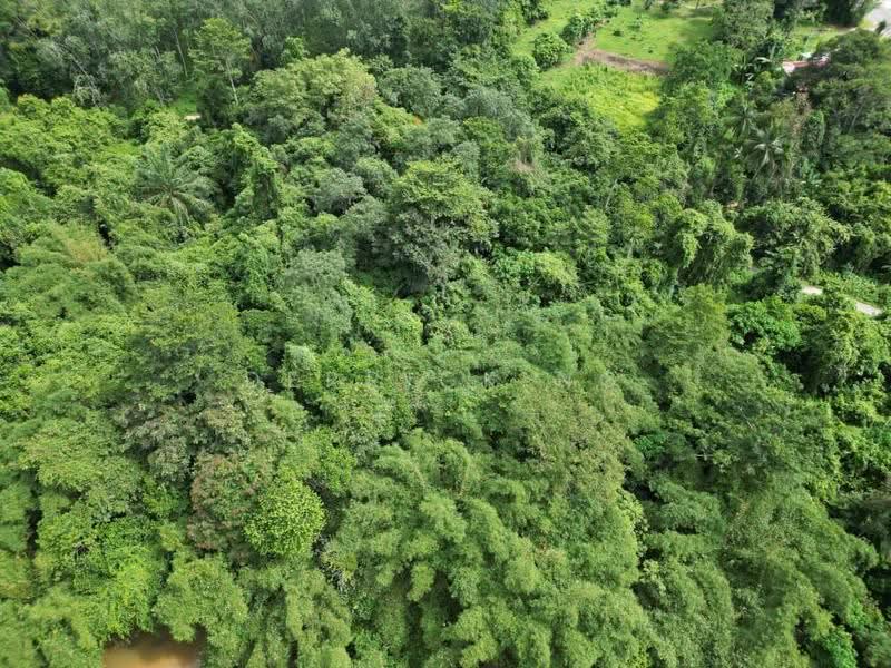 Agricultural Land for Sale in Kampung Gulau (Sok) - Derrick Ng - Exterior - PropertyGuru.com.my
