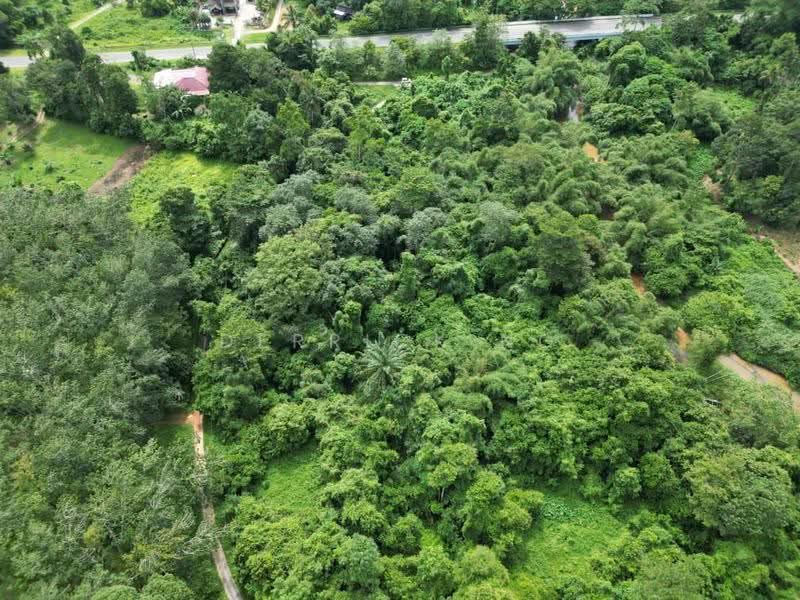 Agricultural Land for Sale in Kampung Gulau (Sok) - Derrick Ng - Exterior - PropertyGuru.com.my