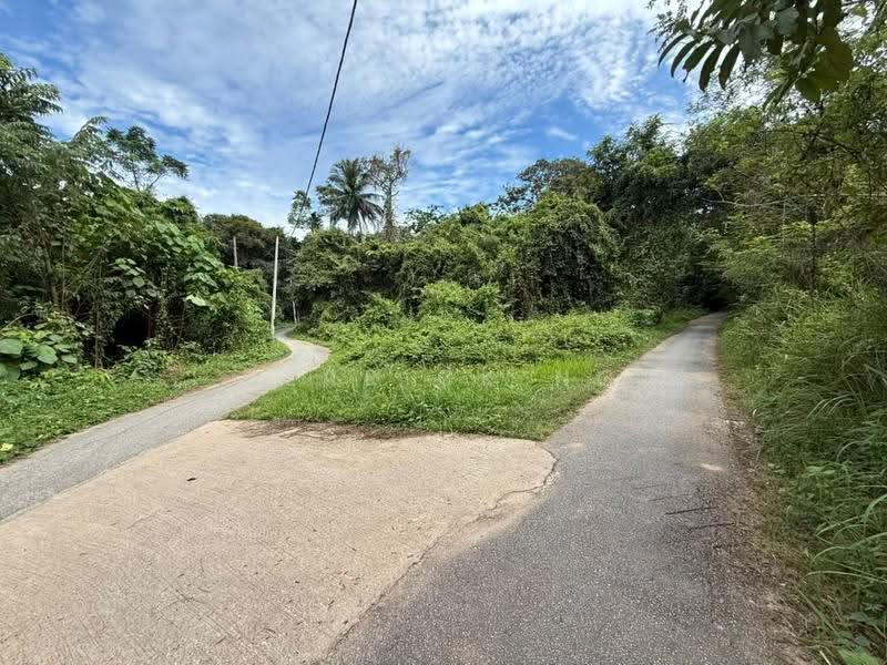 Agricultural Land for Sale in Kampung Gulau (Sok) - Derrick Ng - PropertyGuru.com.my