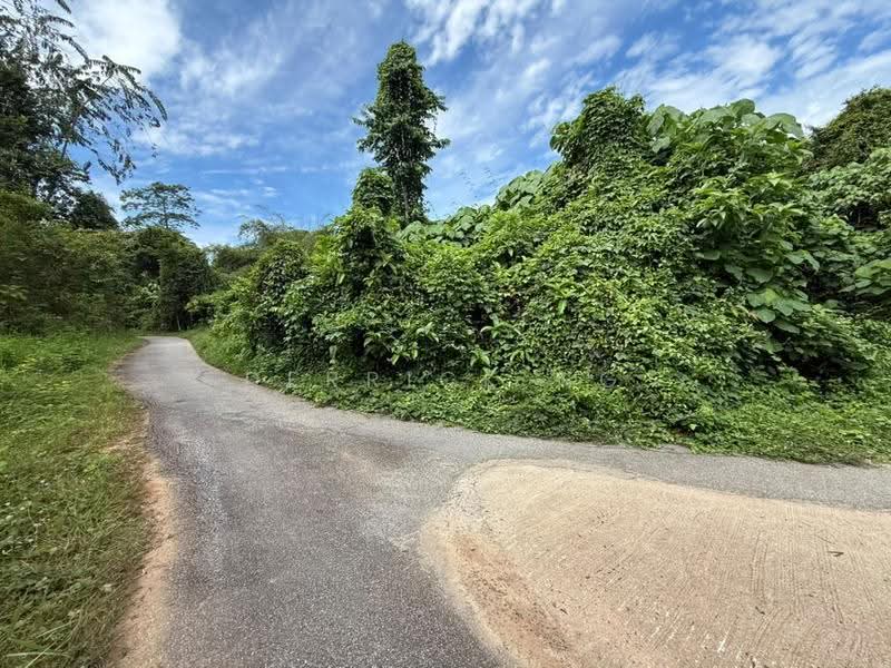 Agricultural Land for Sale in Kampung Gulau (Sok) - Derrick Ng - PropertyGuru.com.my