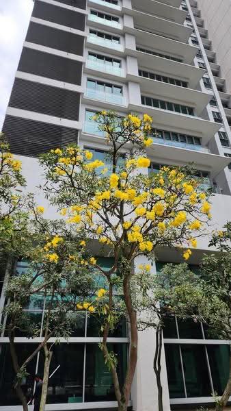 Condominium for Rent at 10 Mont Kiara @ MK10 - Elison Fong - PropertyGuru.com.my