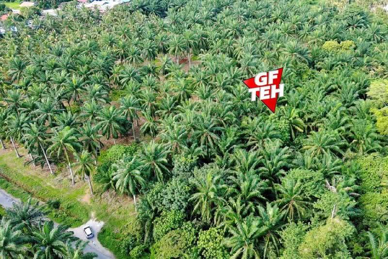 Tanah Pertanian untuk Dijual di Sungai Bakap (Penang) - Teh Guan Fong - PropertyGuru.com.my