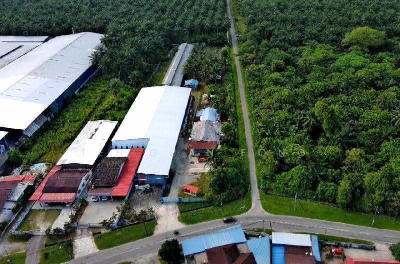 Tanah Pertanian untuk Dijual di Sungai Bakap (Penang) - Teh Guan Fong - Exterior - PropertyGuru.com.my