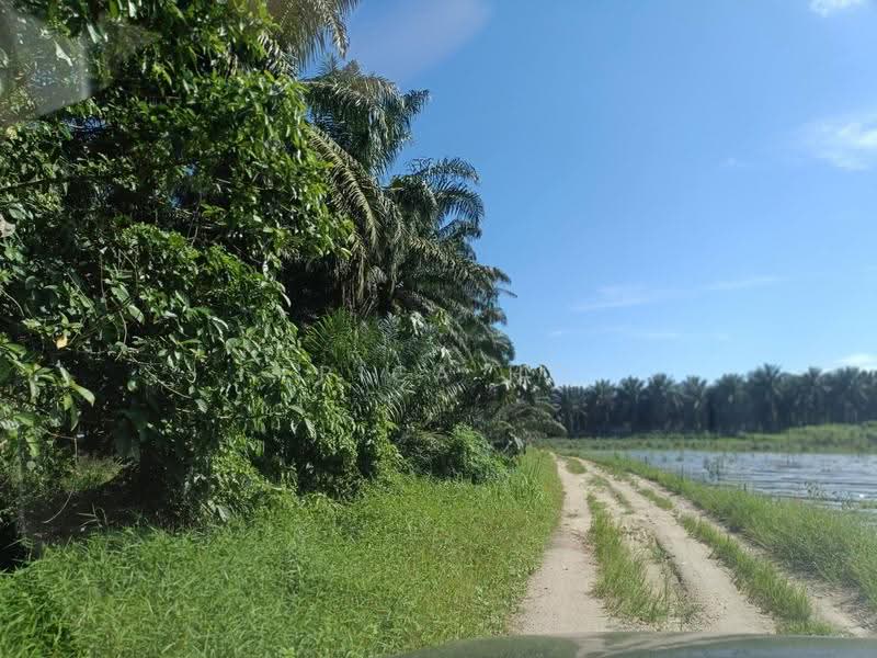 Agricultural Land for Sale in Jeram Batu (Johor) - Erica Ho - Exterior - PropertyGuru.com.my