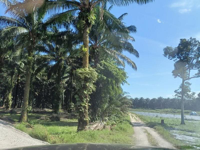 Agricultural Land for Sale in Jeram Batu (Johor) - Erica Ho - Exterior - PropertyGuru.com.my