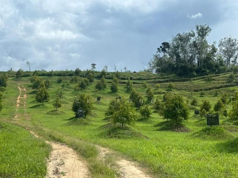 Tanah Pertanian untuk Dijual di Lenggong (Perak) - CK Teong - Exterior - PropertyGuru.com.my