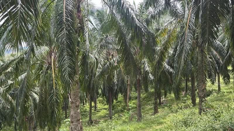 Tanah Pertanian untuk Dijual di Lenggong (Perak) - CK Teong - Exterior - PropertyGuru.com.my