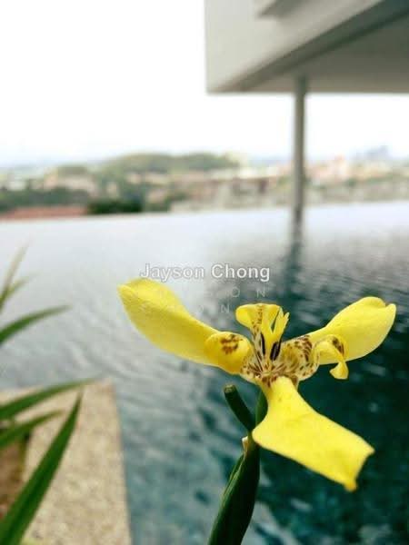 Kondominium untuk Dijual di CloudTree Residence - Jayson chong - PropertyGuru.com.my