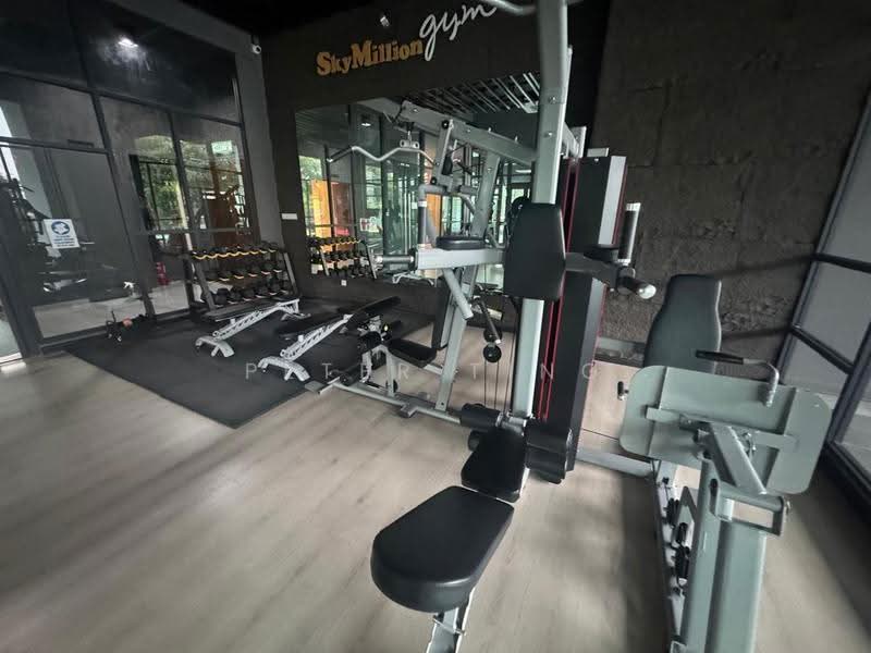 Condominium for Sale at SkyMillion Residence @ Nosoob - Peter Ting - Gym - PropertyGuru.com.my