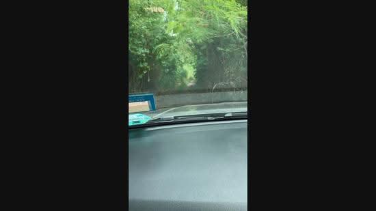 Tanah Pertanian untuk Dijual di Telok Panglima Garang (Selangor) - Siva Prakasam - PropertyGuru.com.my